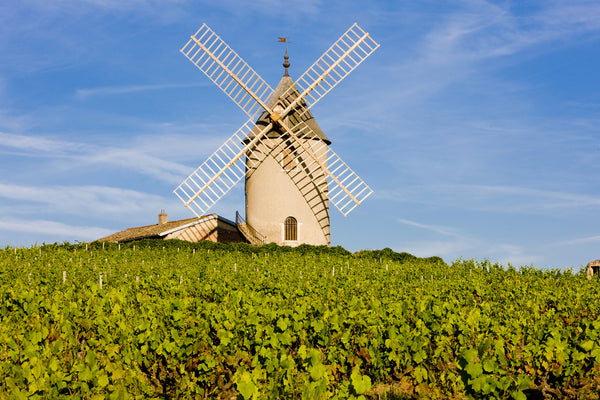 Beaujolais