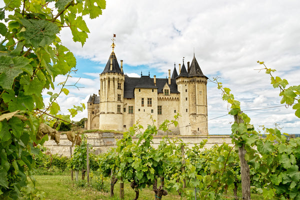 Loire Valley/Vallée de la Loire