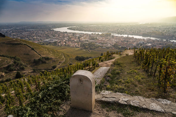 Rhone Valley/Vallée du Rhône