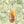 Load image into Gallery viewer, BK Wines Pétillant Naturel 2021