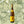 Load image into Gallery viewer, Domaine Zind-Humbrecht Turckheim Gewürztraminer 2021