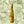 Load image into Gallery viewer, Famille Hugel Classic Riesling 2020