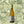 Load image into Gallery viewer, Domaine Eric de Suremain Rully 1er Cru Pillot L’intemporelle 2018