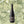 Load image into Gallery viewer, Domaine Le Petit Saint Vincent Saumur Champigny 2019