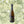 Load image into Gallery viewer, Sébastien Brunet Vouvray Le Naturel Petillant Naturel 2021