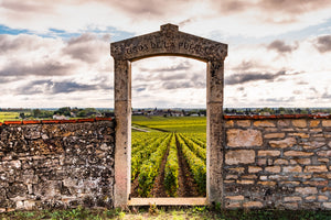 Burgundy/Bourgogne